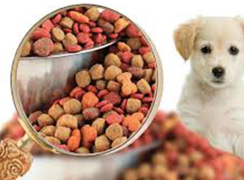 veterinary medicine manufacturers in india